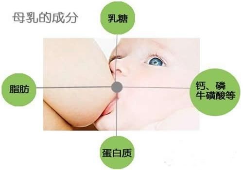 雷竞技股票厂家之母乳中蛋白质到底有多重要—山东国康