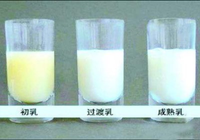 母乳检测仪厂家检测母乳质量是最好的时期—山东国康