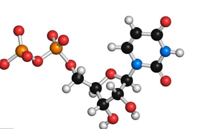 母乳成分分分析仪揭秘母乳哪些不为知之功能-山东国康