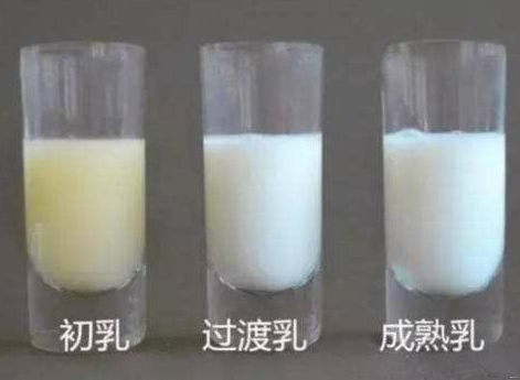 雷竞技股票针对母乳营养成分检验结果有哪些？